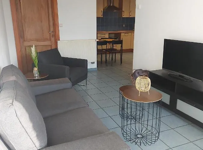 Appartement Rdc Plein Centre Avec Terrasse